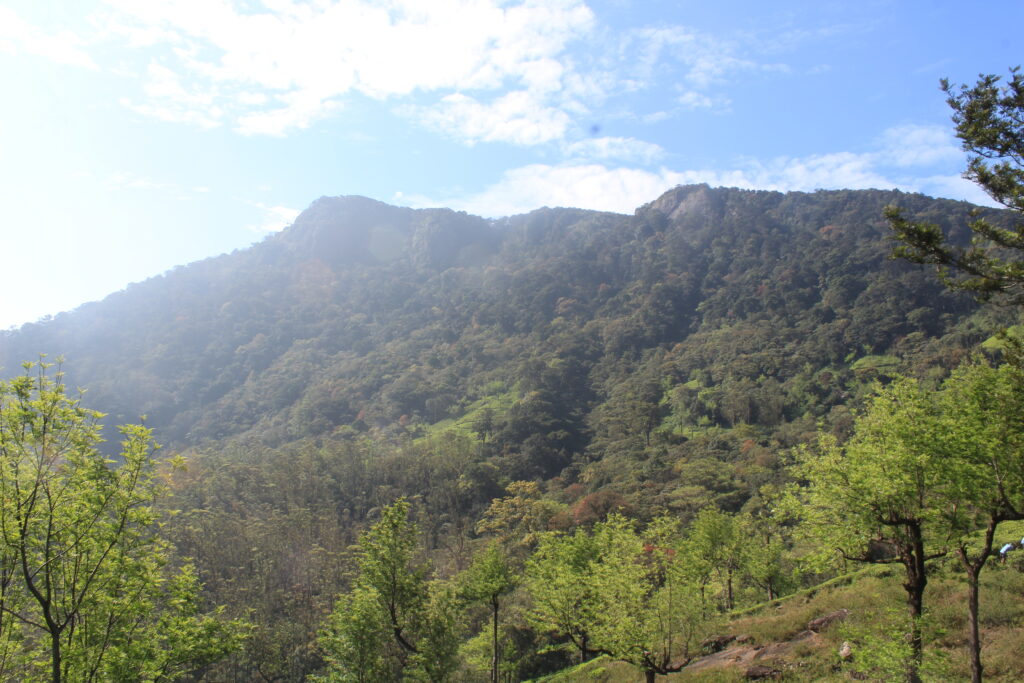 Agastamalai landscape