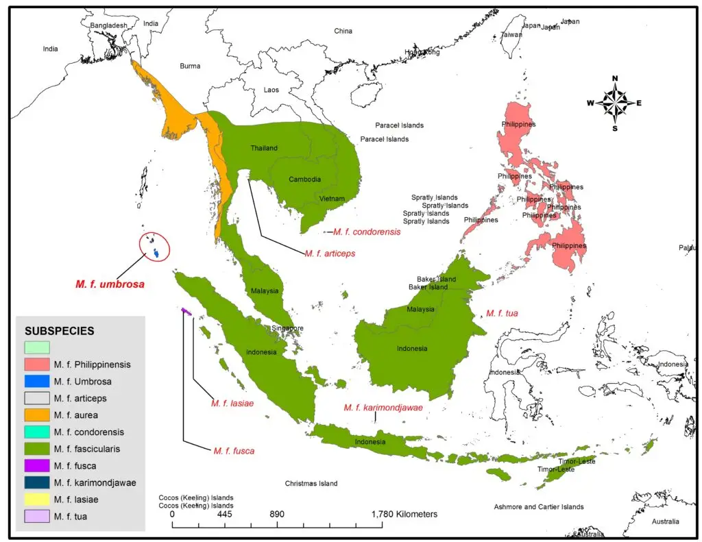 Distribution of Macaca fascicularis subspecies
